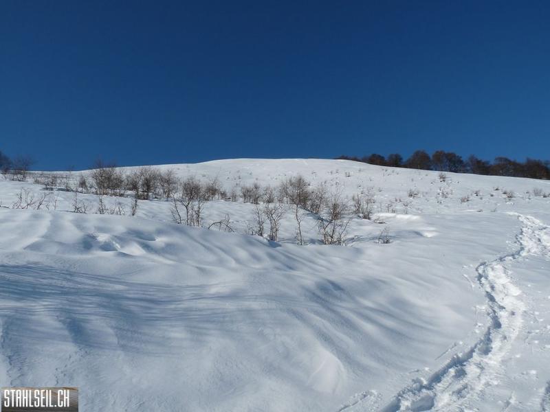k-P1240132.JPG