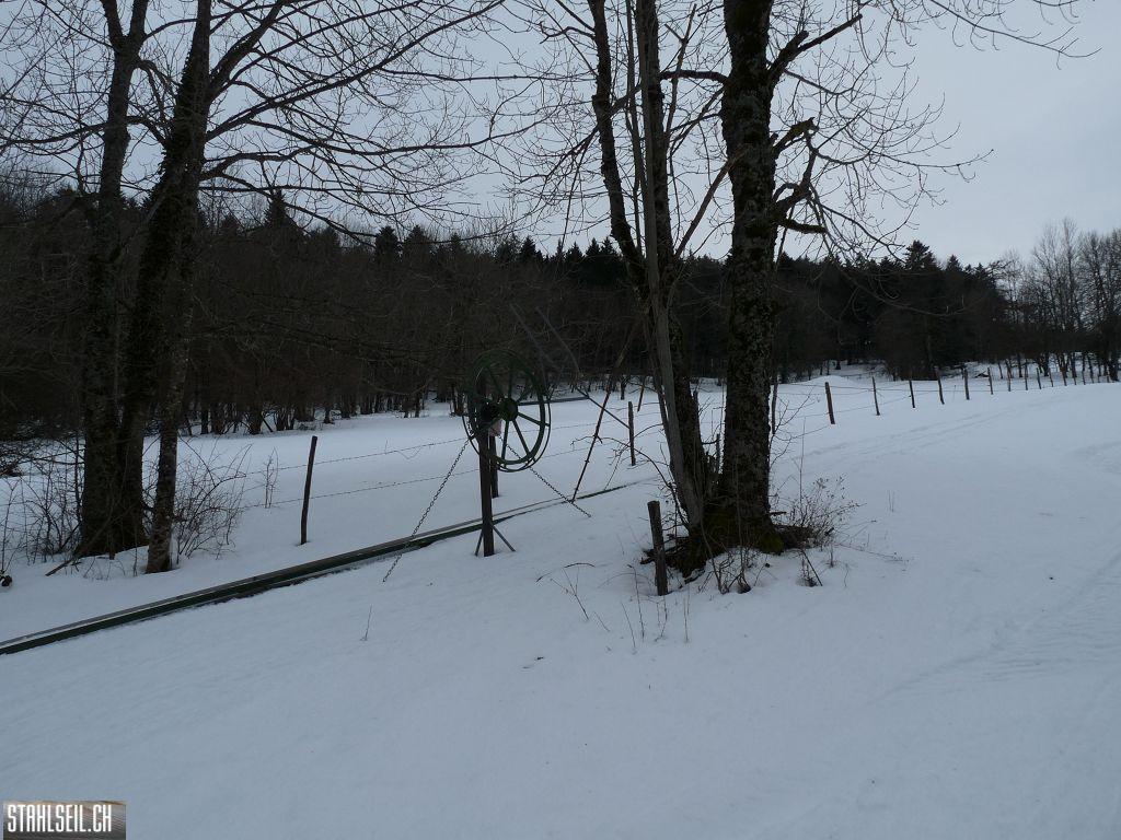 k-P1280636.JPG