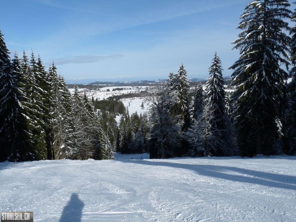 k-P1280592.JPG