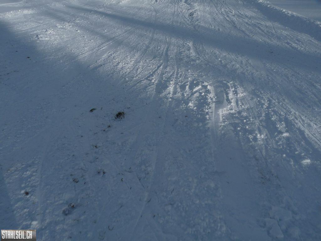 k-P1280254.JPG