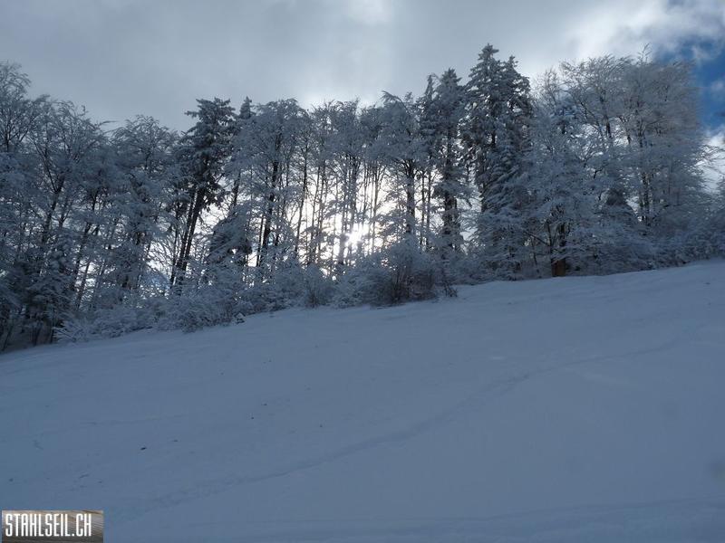 k-P1280174.JPG