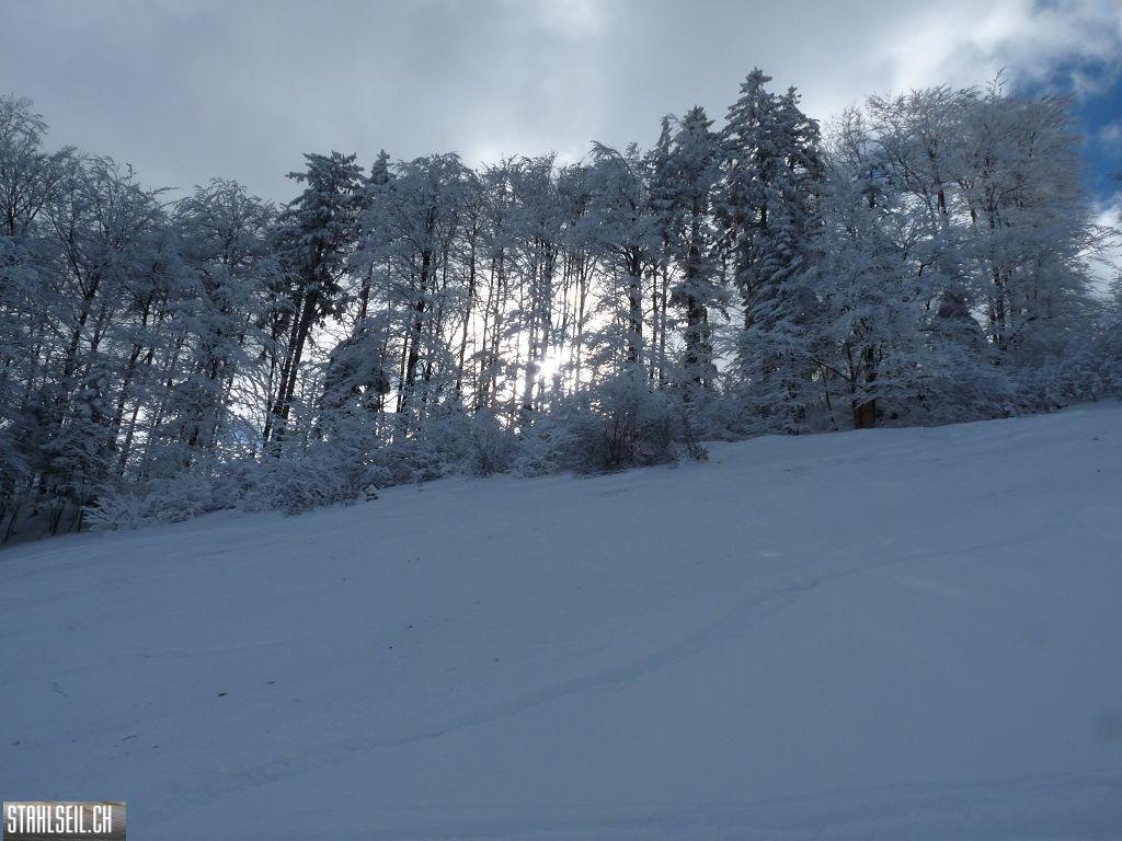 k-P1280174.JPG
