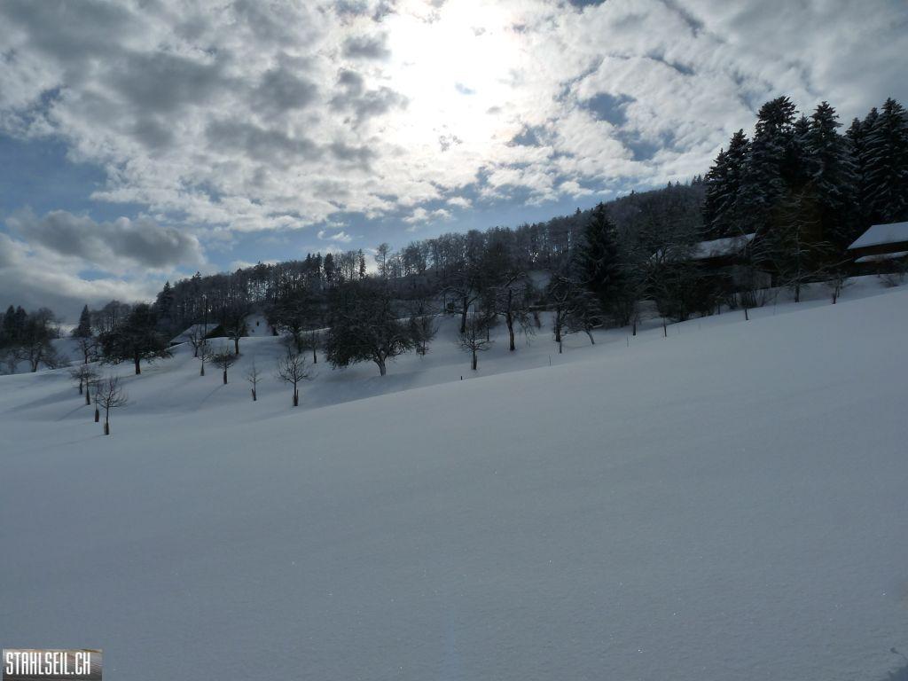 k-P1280224.JPG