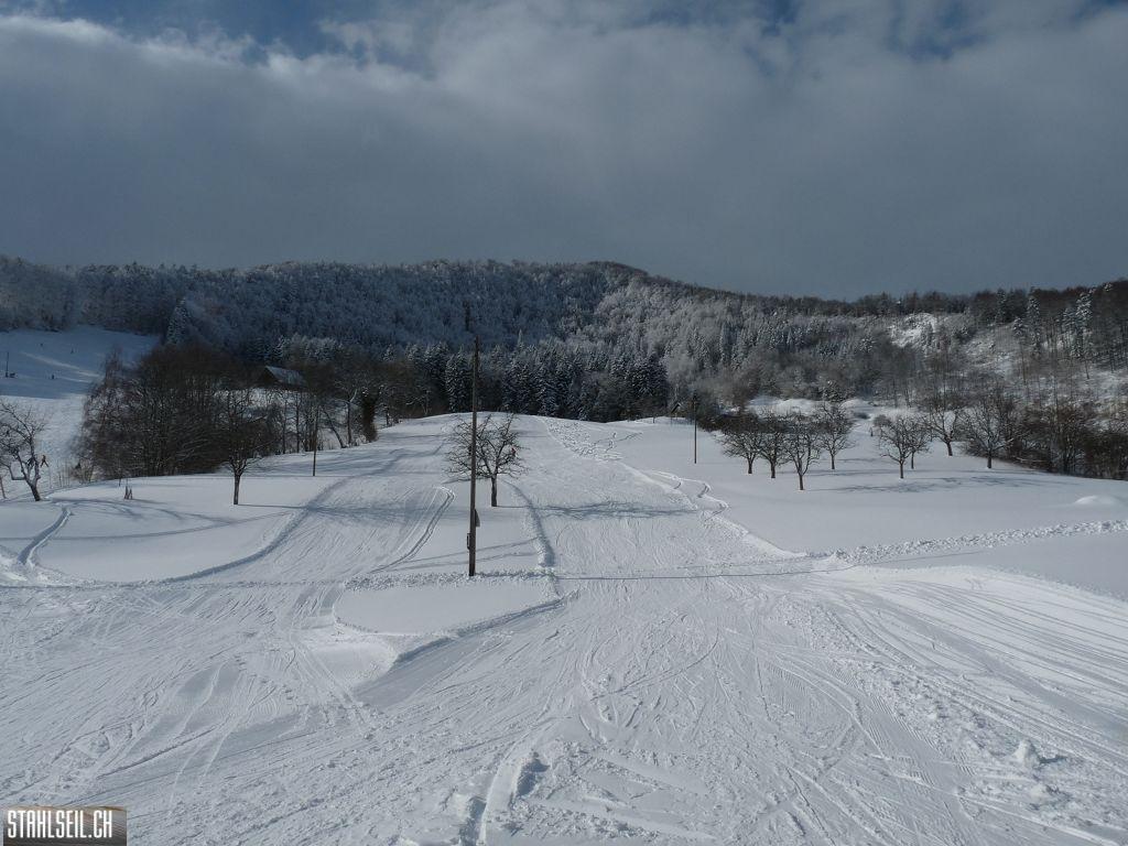k-P1280250.JPG
