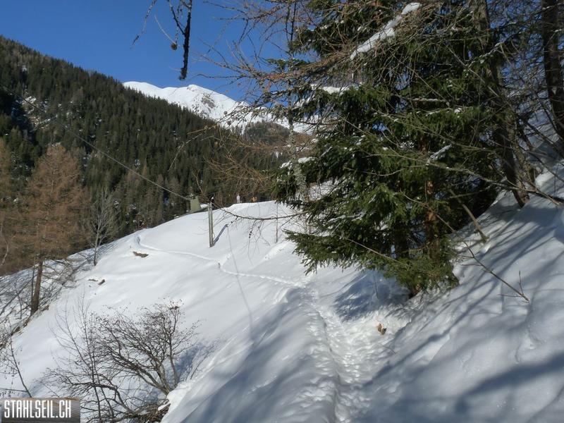 k-P1290716.JPG