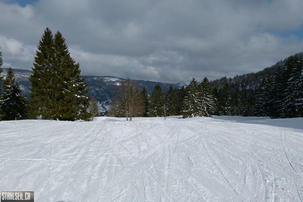 k-P1460105.JPG