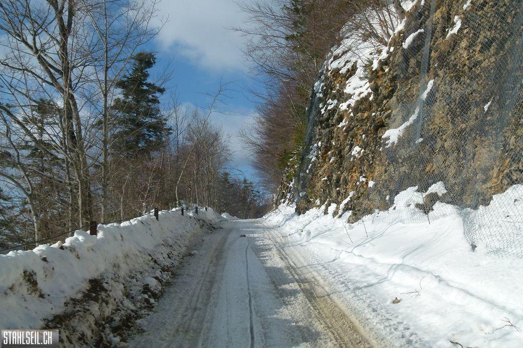 k-P1460190.JPG