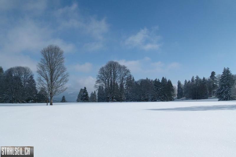 k-P1460221.JPG