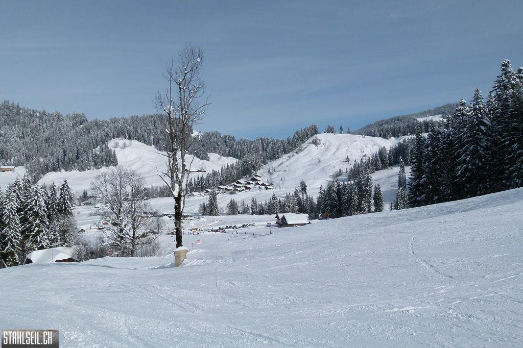 k-P1450874.JPG