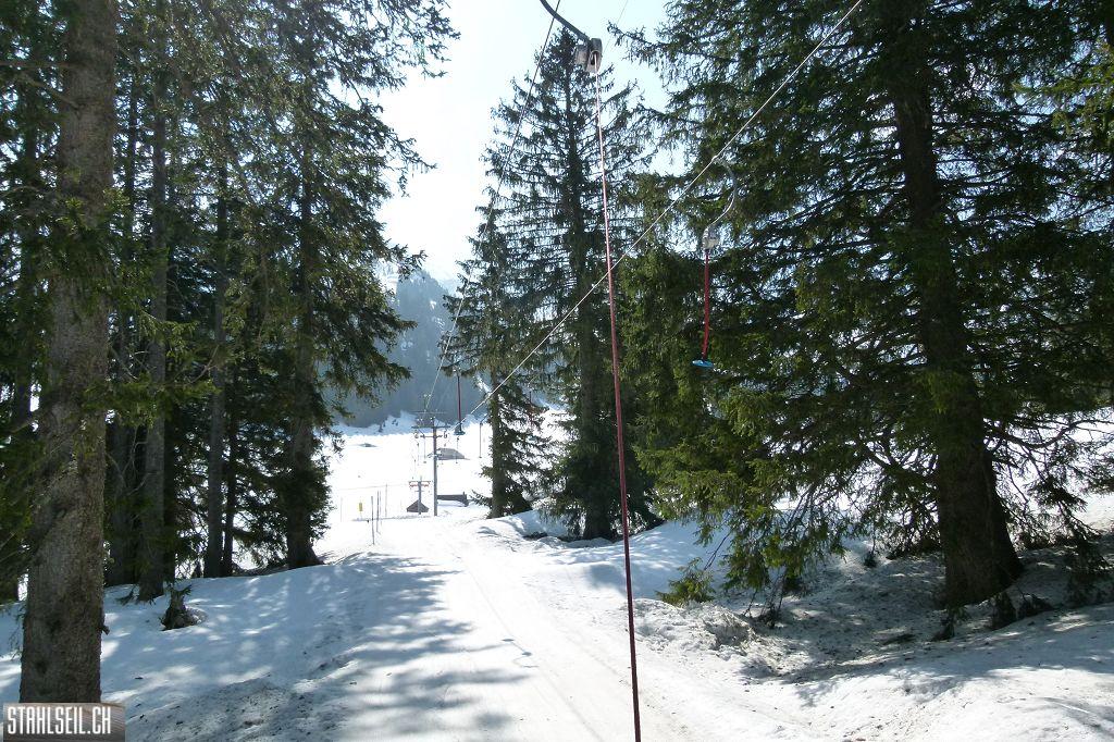 k-P1310882.JPG