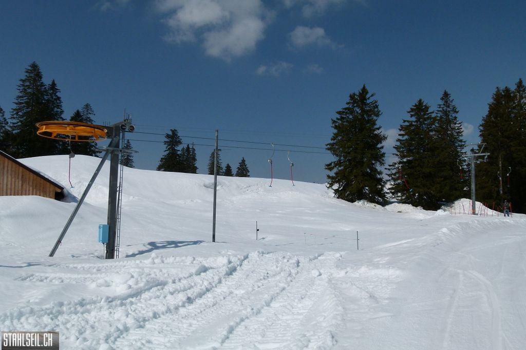 k-P1310888.JPG