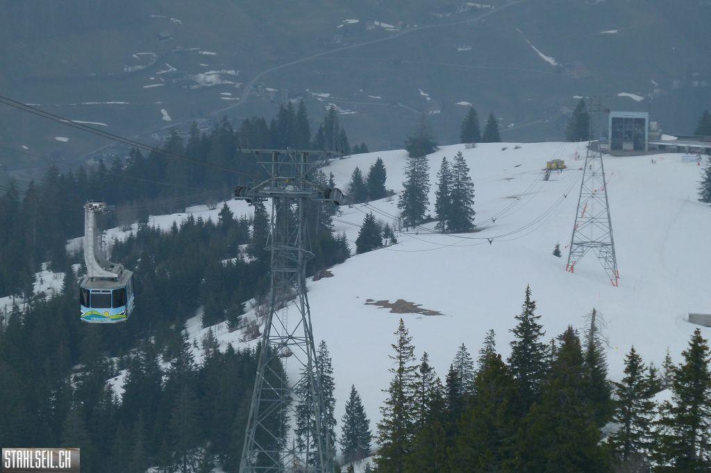 k-P1310969.JPG