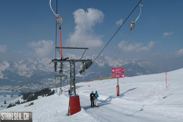 k-P1320117.JPG