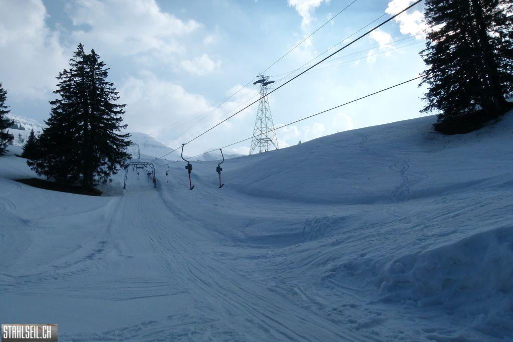 k-P1320164.JPG