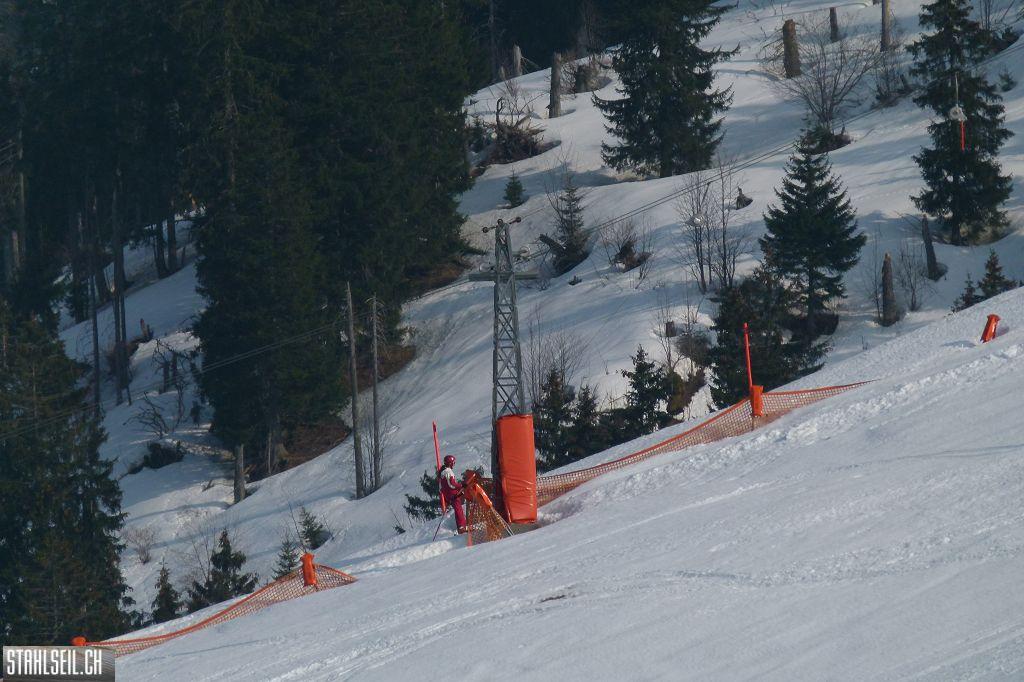 k-P1320194.JPG