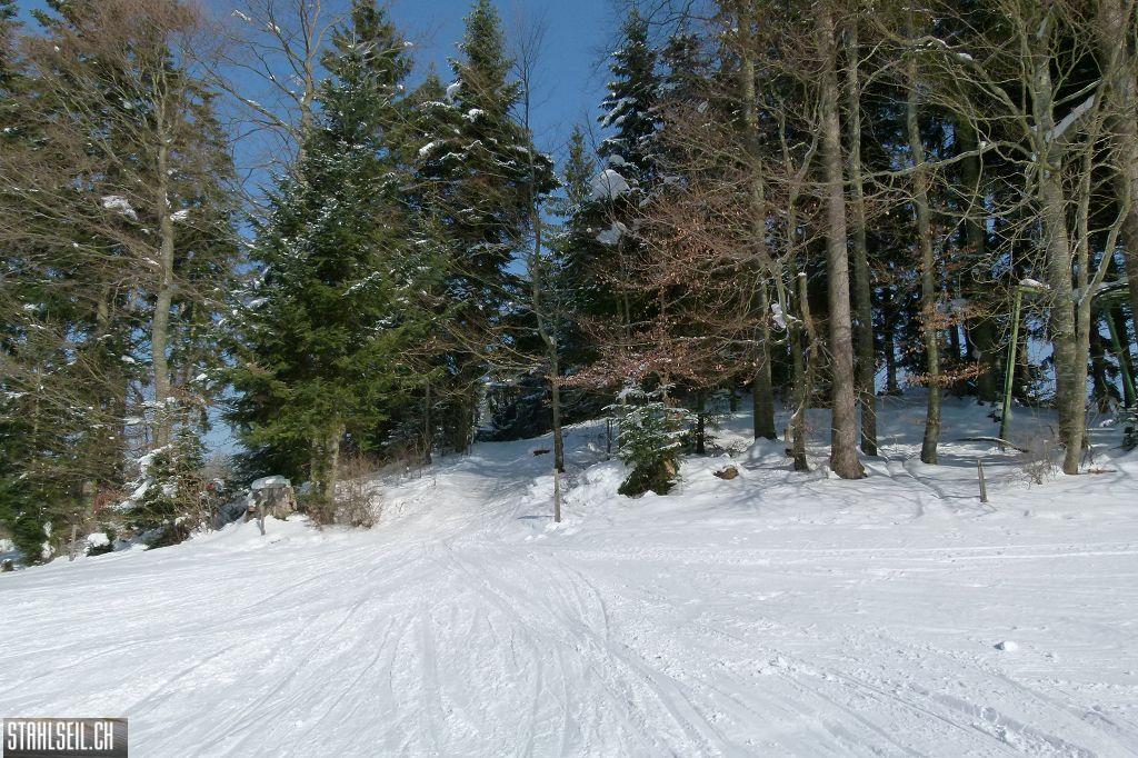 k-P1460648.JPG