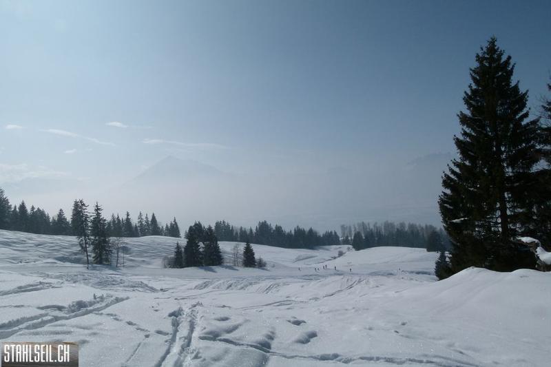 k-P1460589.JPG
