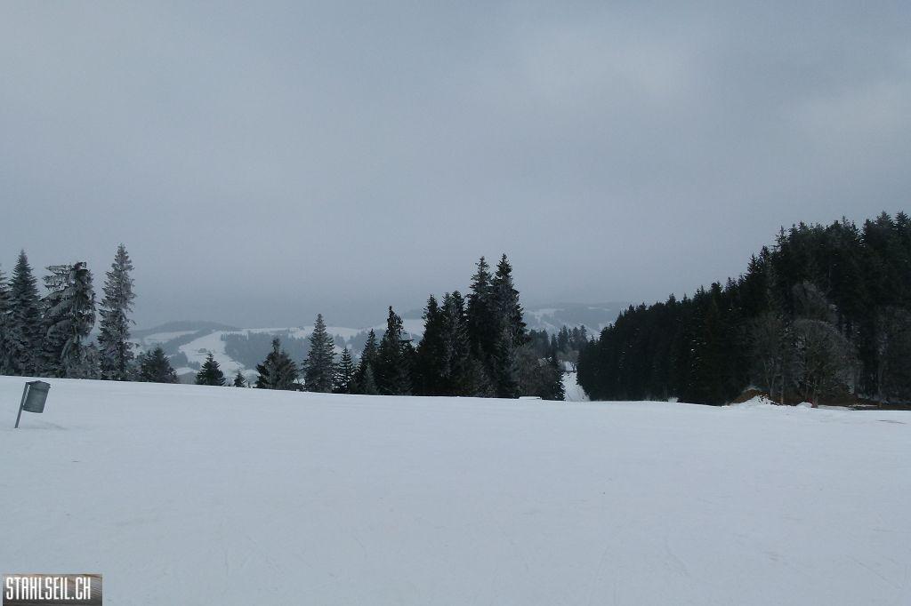 k-P1460917.JPG