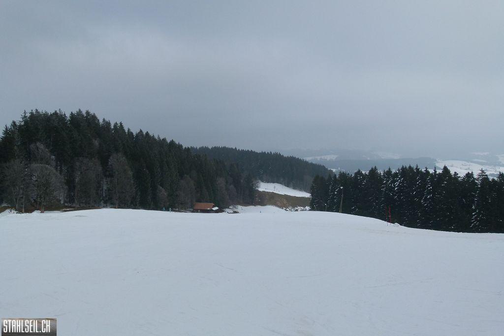 k-P1460918.JPG