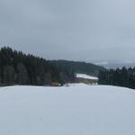 k-P1460894.JPG