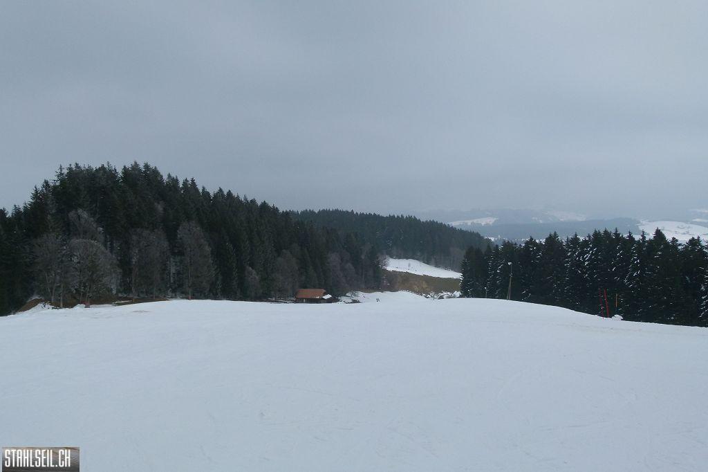 k-P1460894.JPG