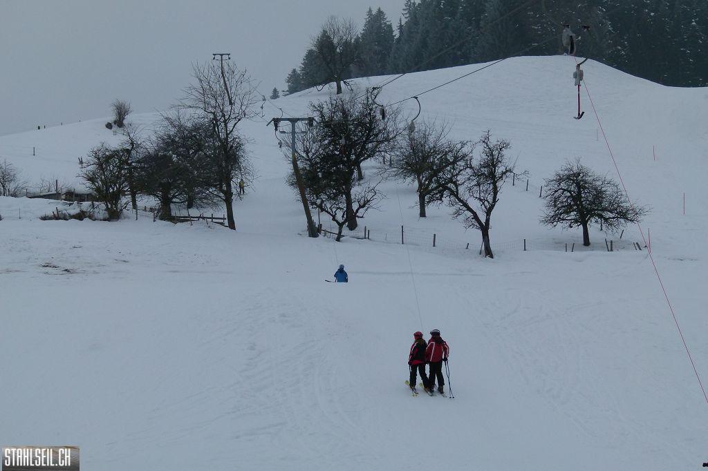 k-P1460992.JPG