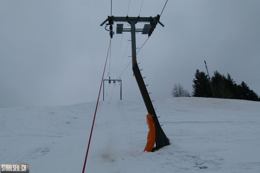 k-P1460957.JPG
