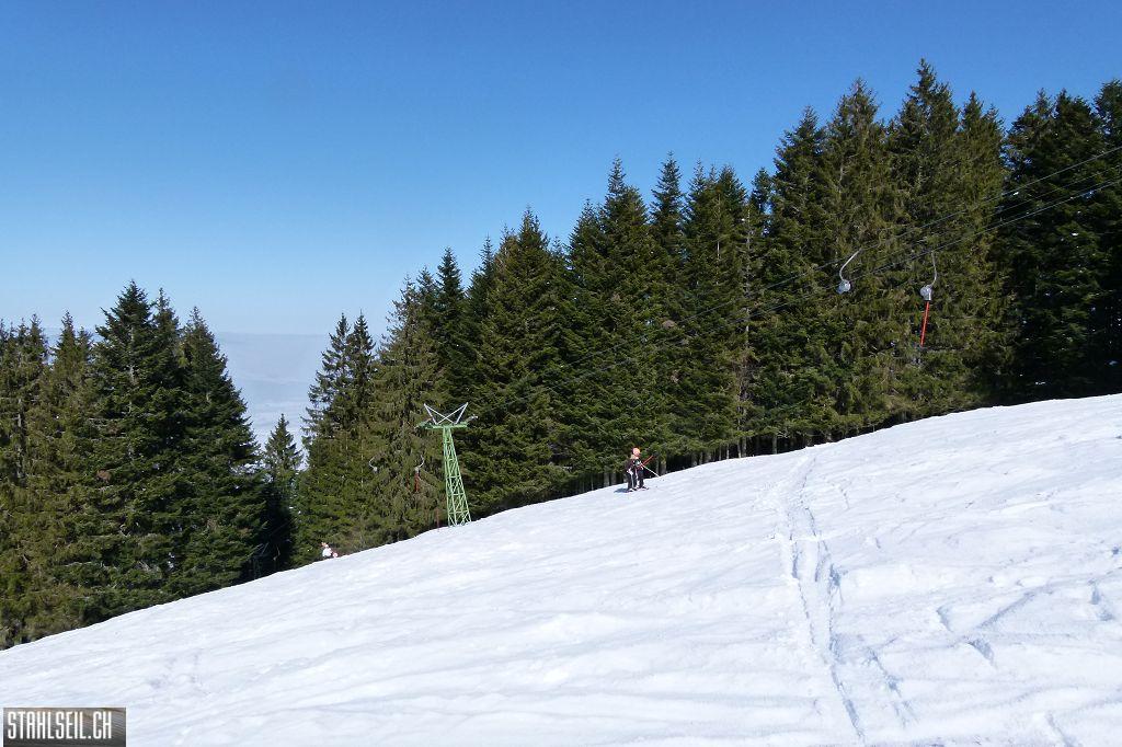 k-P1470284.JPG