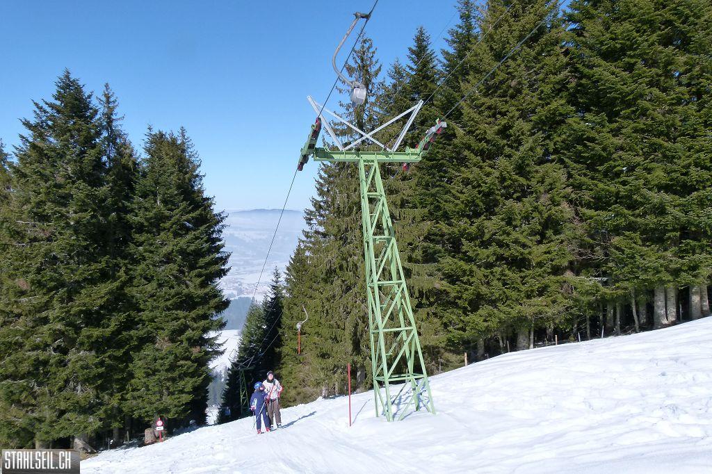 k-P1470290.JPG