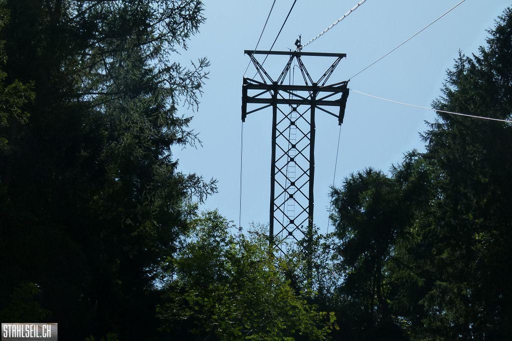 k-P1140951.JPG