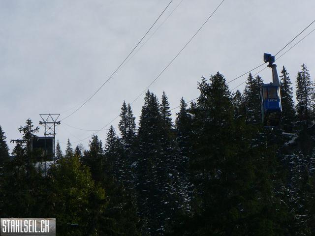 k-P1760339.JPG