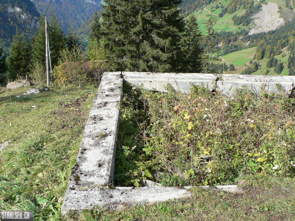 k-P1760374.JPG