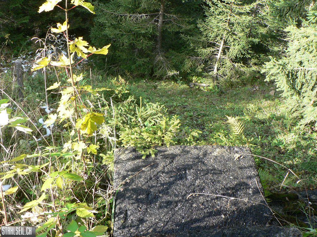 k-P1760377.JPG