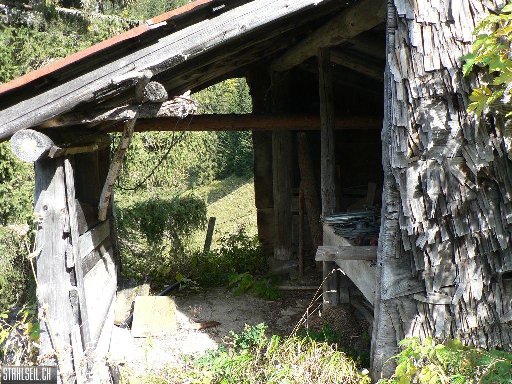 k-P1760378.JPG