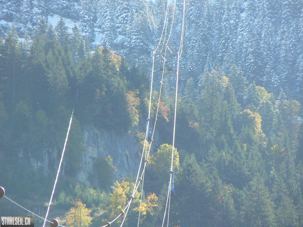 k-P1760164.JPG