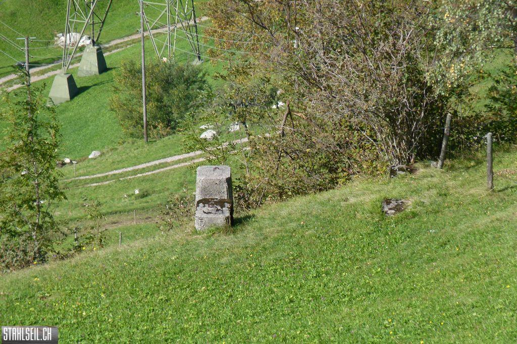k-P1420290.JPG
