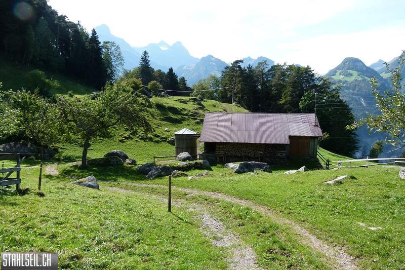 k-P1420312.JPG