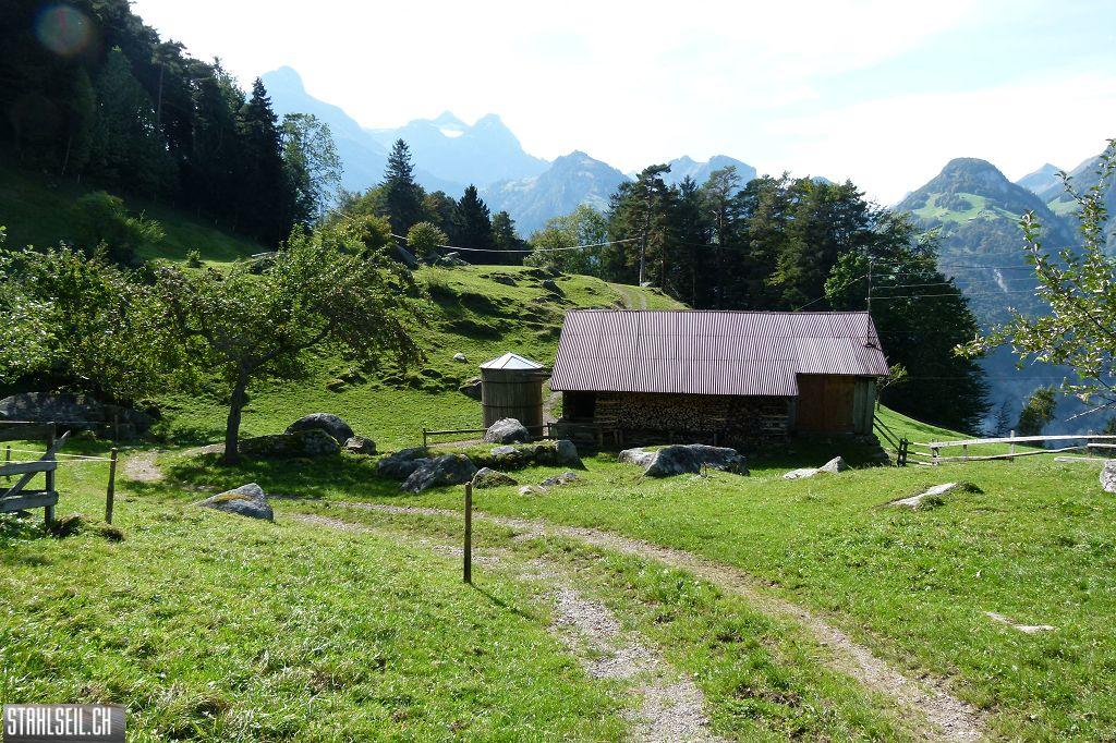 k-P1420312.JPG