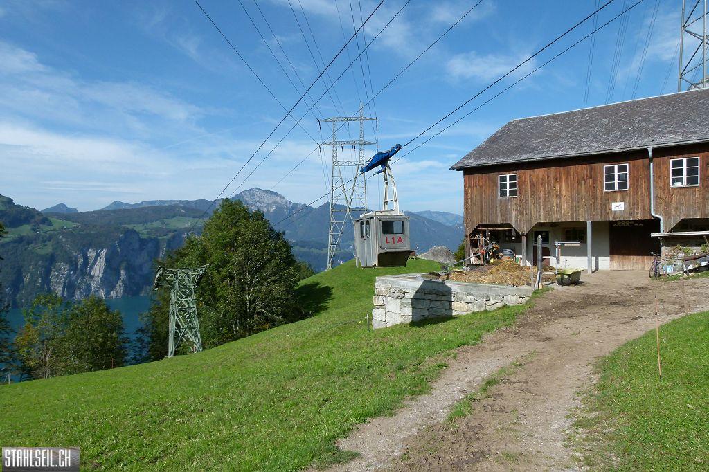 k-P1420320.JPG