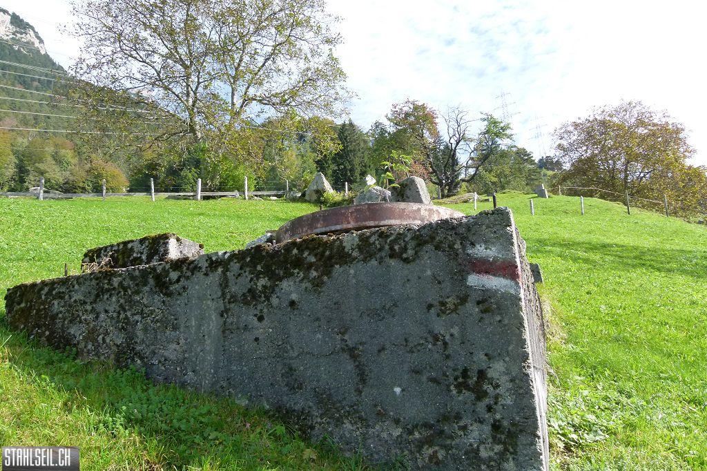 k-P1420364.JPG