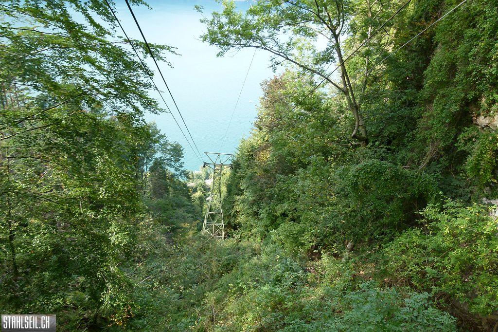 k-P1420371.JPG