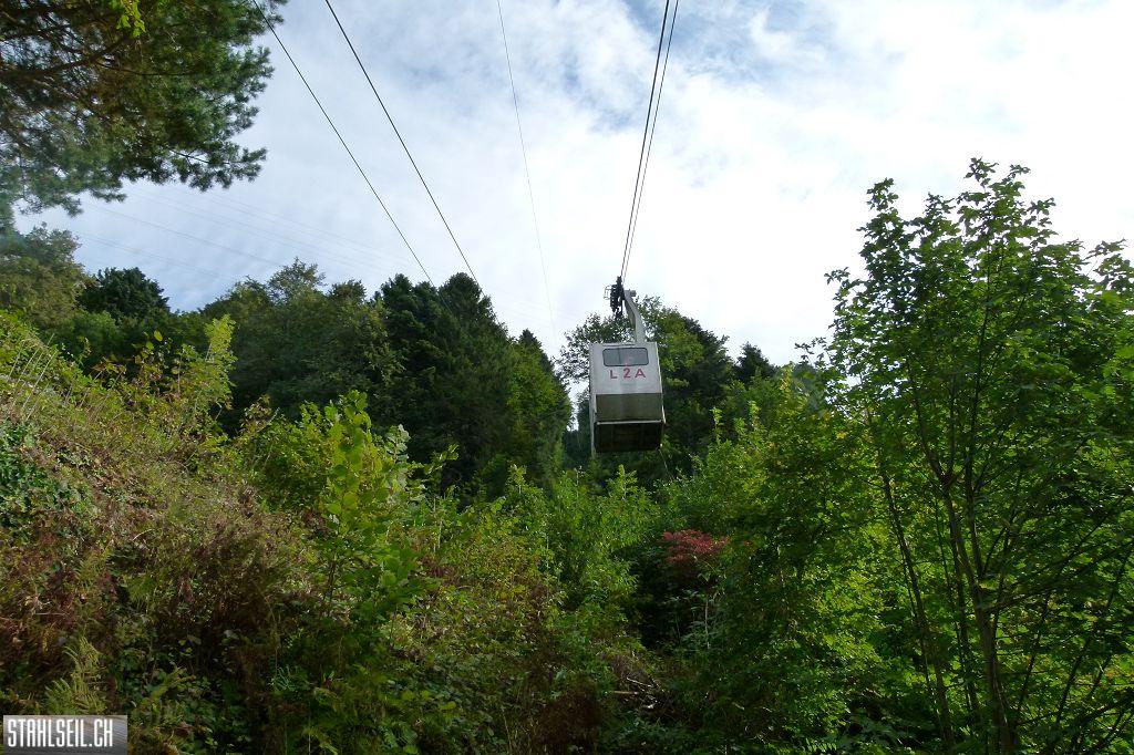 k-P1420399.JPG