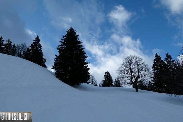k-P1260950.JPG