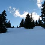 k-P1270040.JPG
