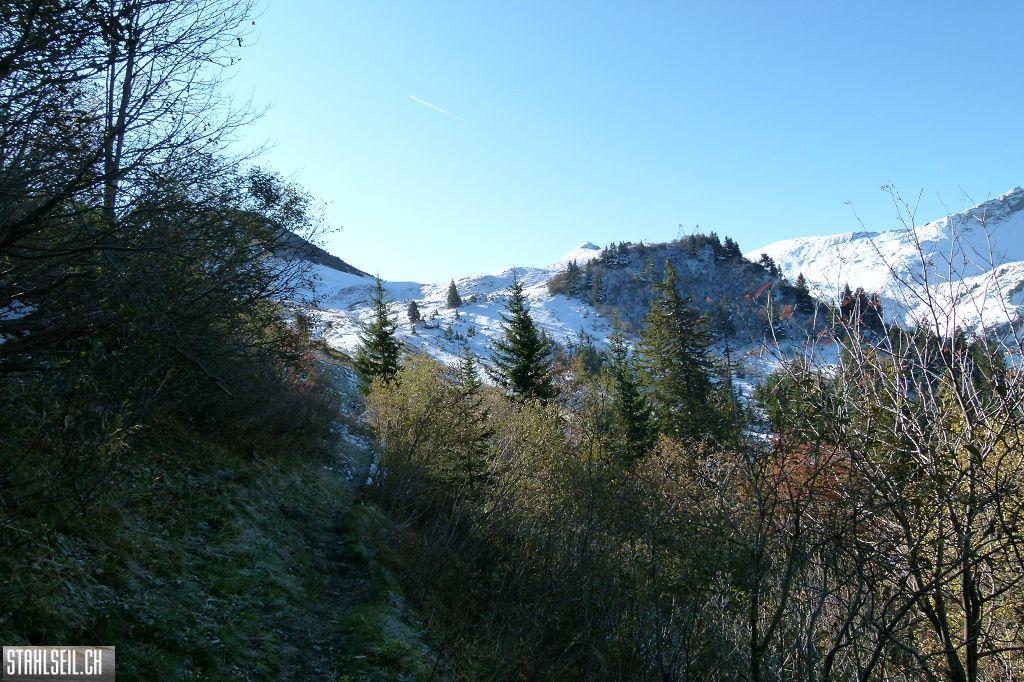 k-P1210084.JPG