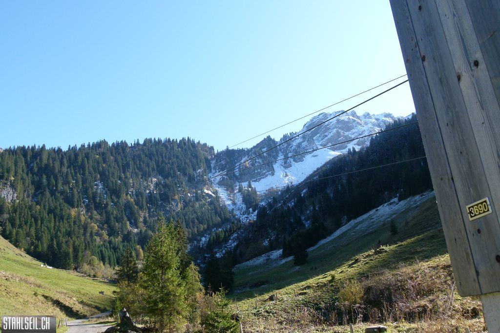 k-P1210234.JPG