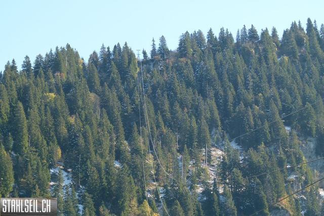 k-P1210235.JPG