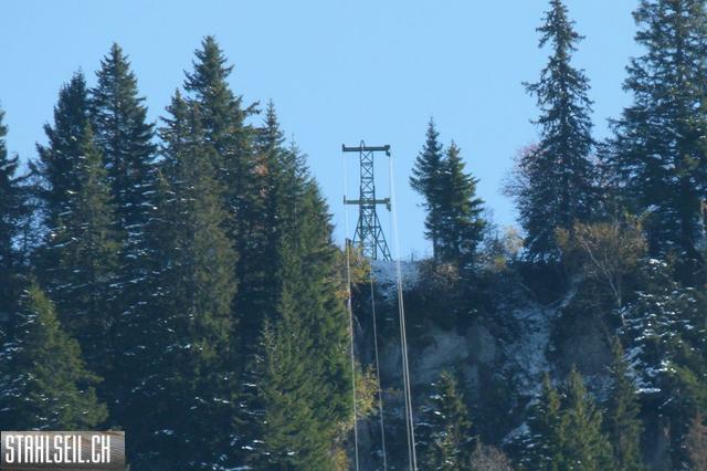 k-P1210236.JPG