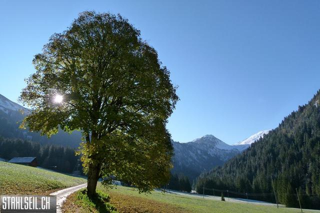 k-P1200684.JPG