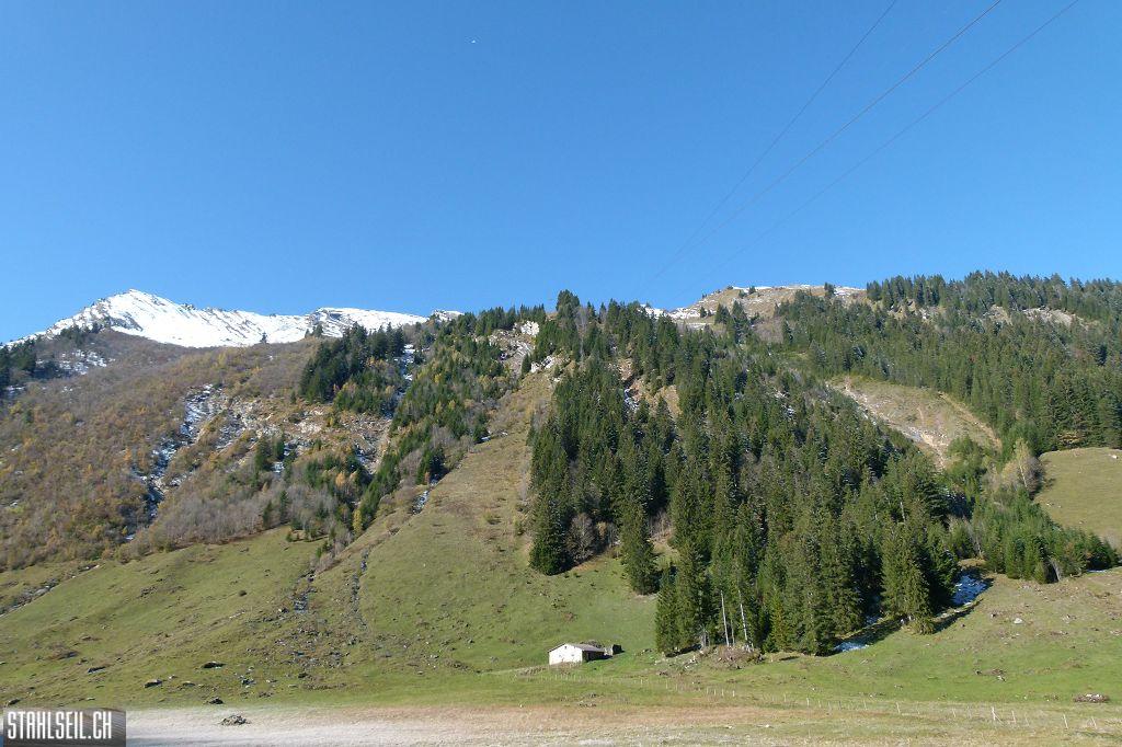 k-P1200749.JPG